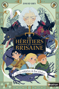 Les Héritiers de Brisaine, la malédiction du Bois d’Ombres – David Bry